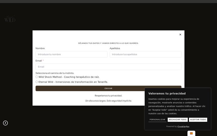 Screenshot of eternal-wild.com