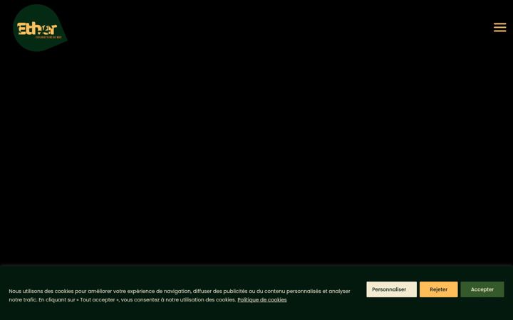 Screenshot of etheragenceweb.fr