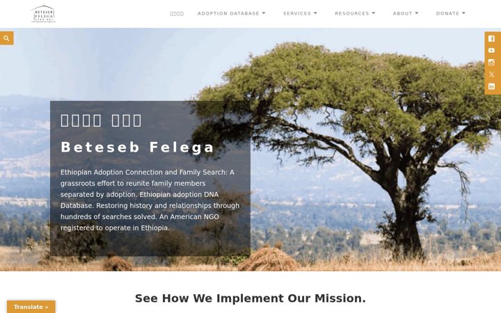 Screenshot of ethiopianadoptionconnection.org