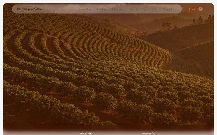Screenshot of ethiopiancoffee.eu