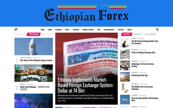 Screenshot of ethiopianforex.com