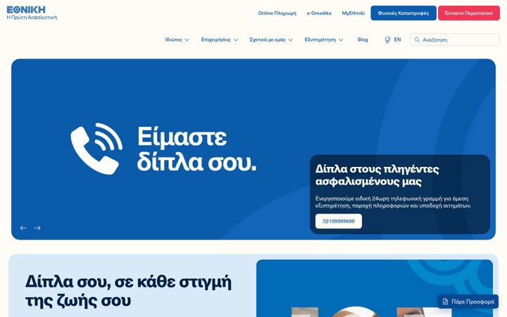 Snímek obrazovky ethnikiasfalistiki.gr