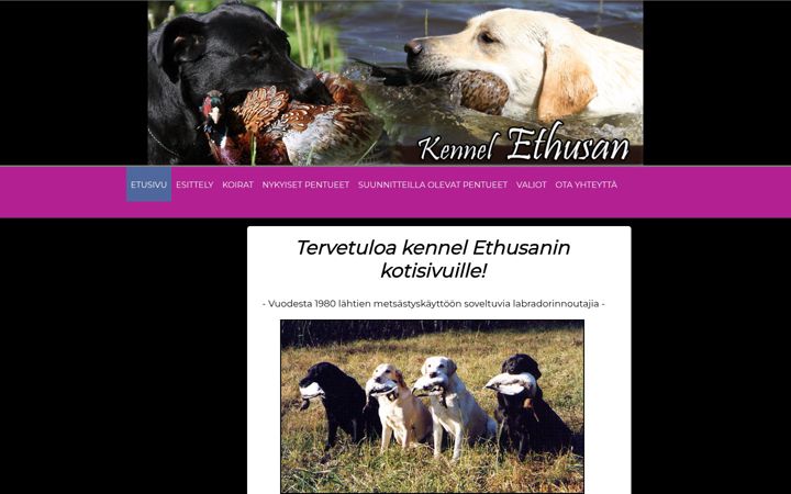 Screenshot of ethusan.com