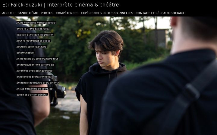 Screenshot of etiennefalcksuzuki.com