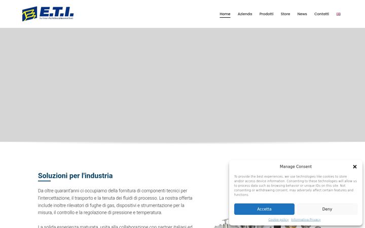 Screenshot of etisrl.net