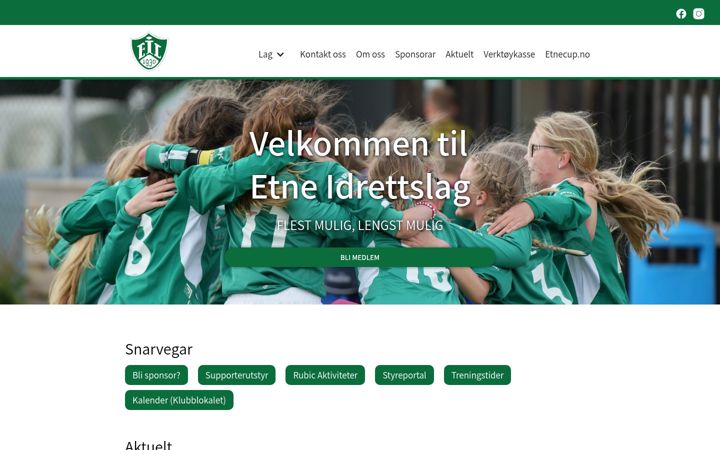 Screenshot of etneil.no