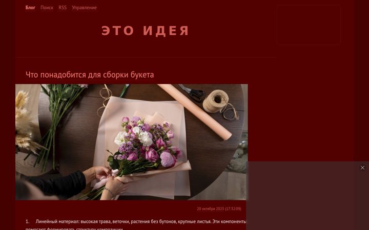 Екранна снимка на etoideya.ru