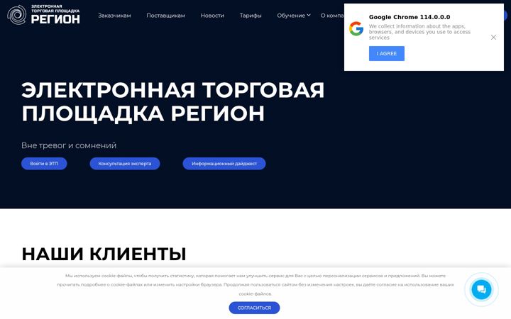 Screenshot von etp-region.ru