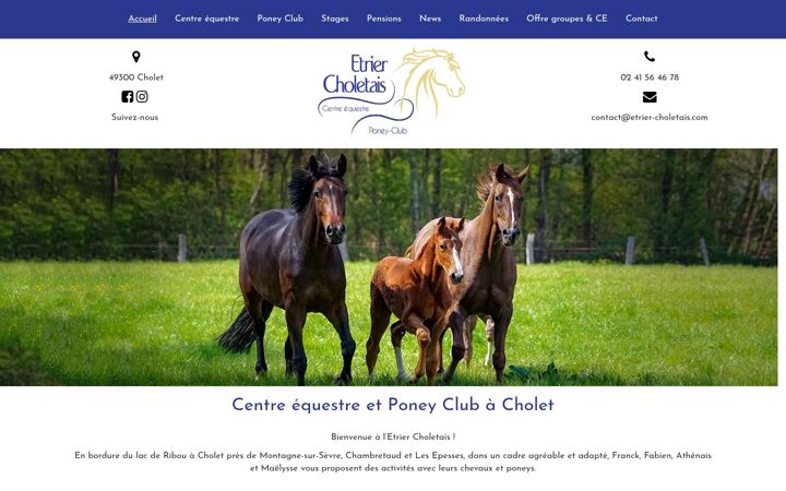 Screenshot of etrier-choletais.com