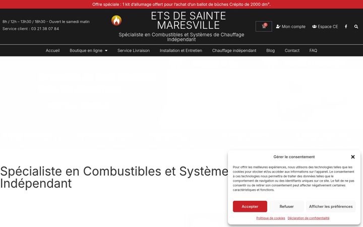 Snímek obrazovky ets-desaintemaresville.fr