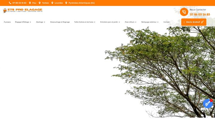 Screenshot of etselagagepro.fr