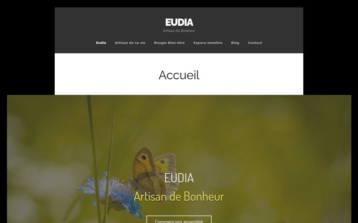 Skærmbillede af eudia.fr