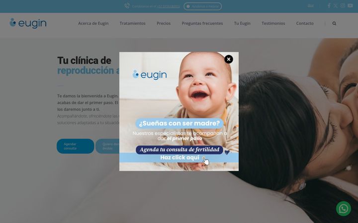 Screenshot of eugin.com.co