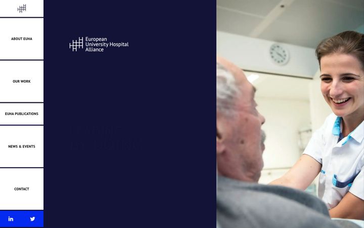 Zrzut ekranu euhalliance.eu