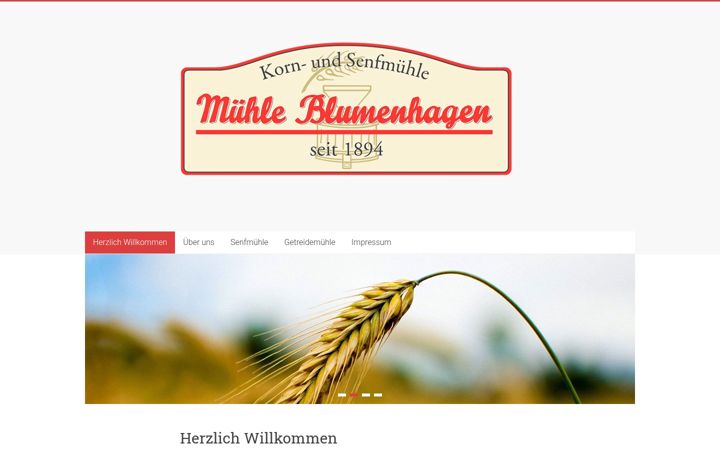 Screenshot of eulensenf.de