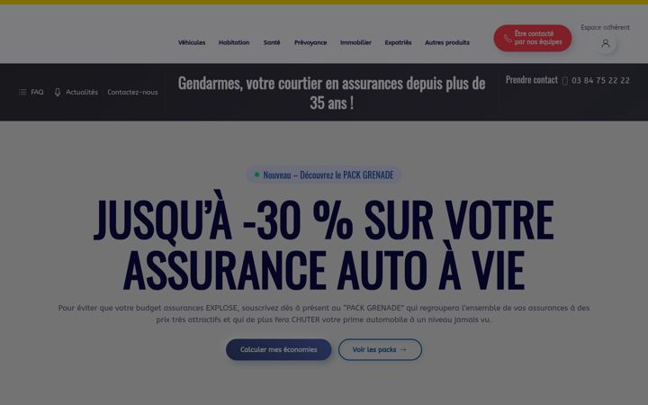 Screenshot di euralpha.fr