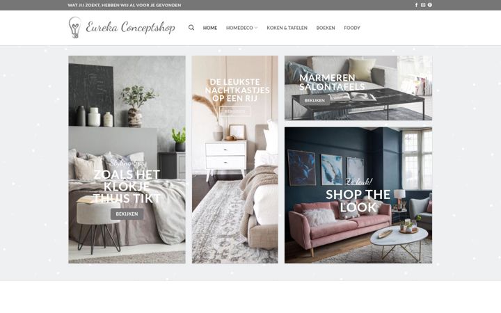 Screenshot ta' eurekaconceptshop.nl