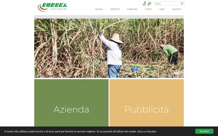 Screenshot of eurekazuccheri.it