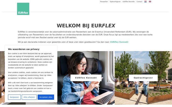 Screenshot ta' eurflex.nl