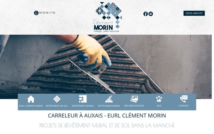 Screenshot of eurl-morinclement.fr