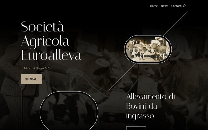 Screenshot of euroalleva.it