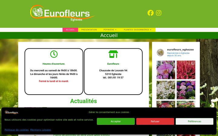 Screenshot ta' eurofleurs.be