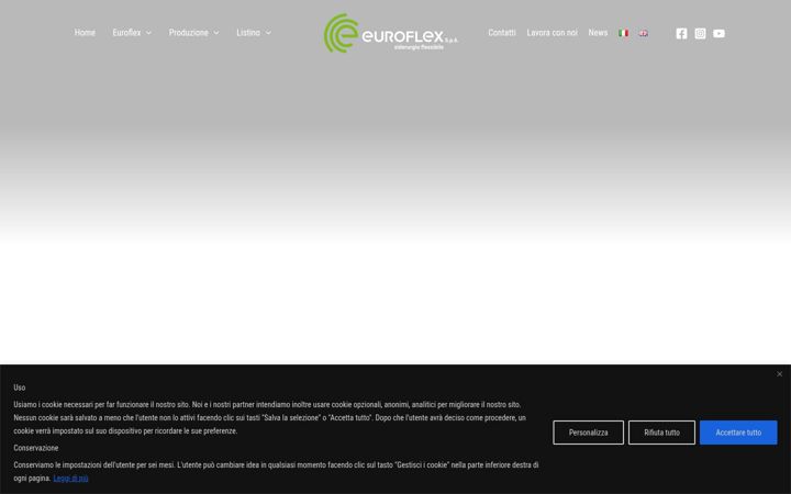 Captura de pantalla de euroflexspa.it