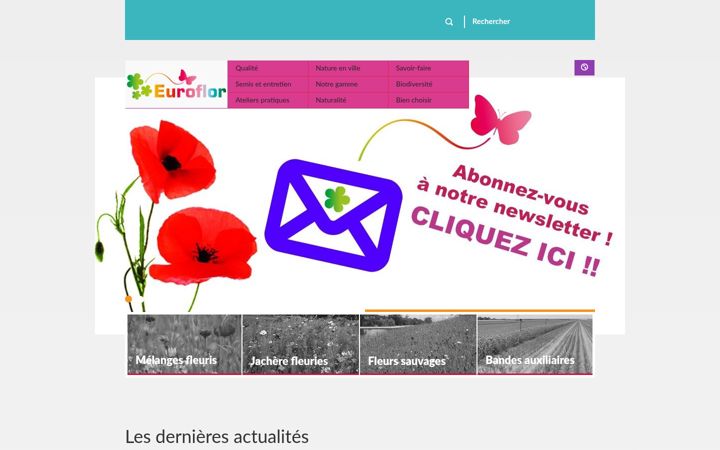 Screenshot of euroflor.pro