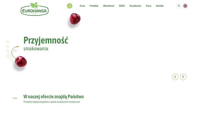 Screenshot of eurohansa.pl