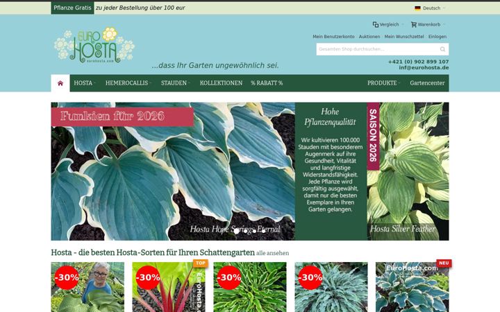Screenshot of eurohosta.de