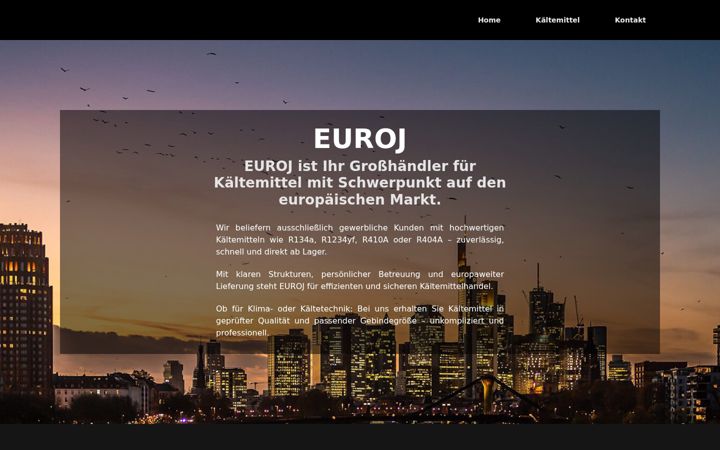 Kuvakaappaus sivustosta euroj.de