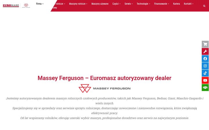 Skjámynd af euromasz.pl