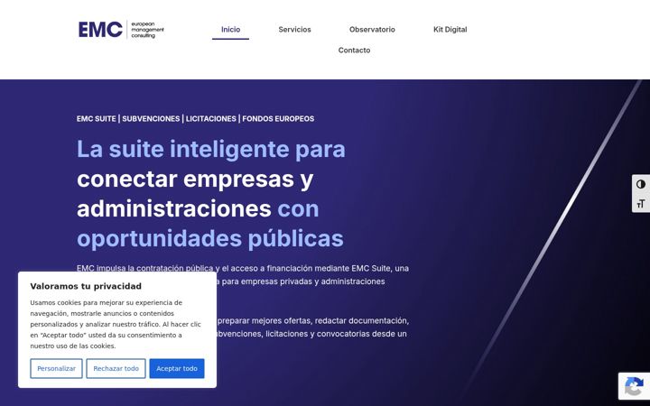 Screenshot of euromconsulting.eu