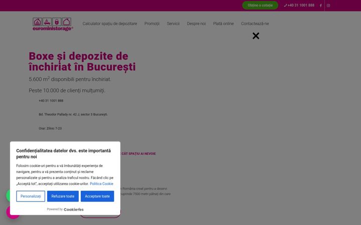 Screenshot ta' euroministorage.ro