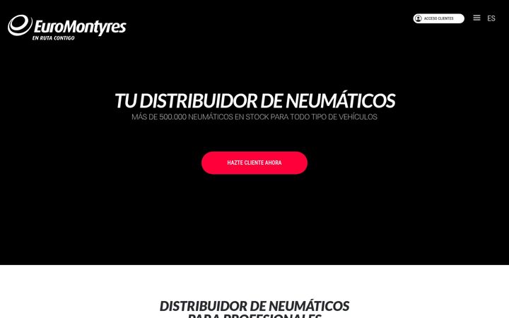 Screenshot of euromontyres.com
