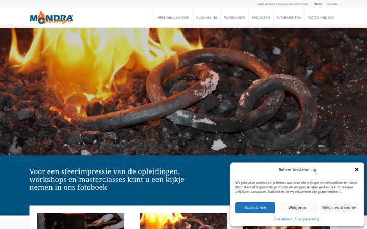 Screenshot of europeanironacademy.eu