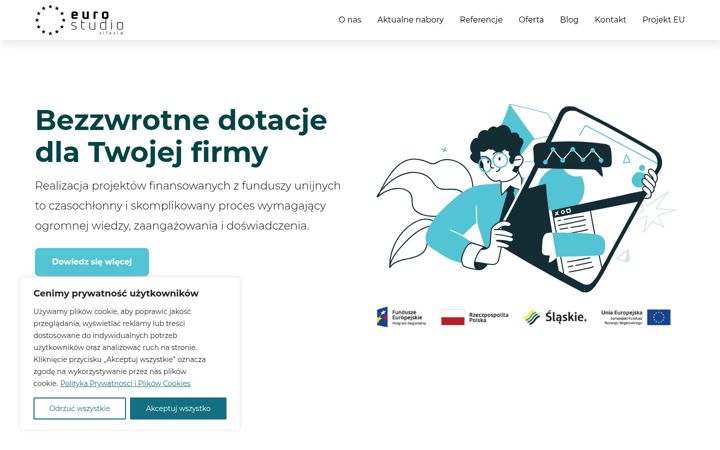 Screenshot of eurostudio-silesia.pl