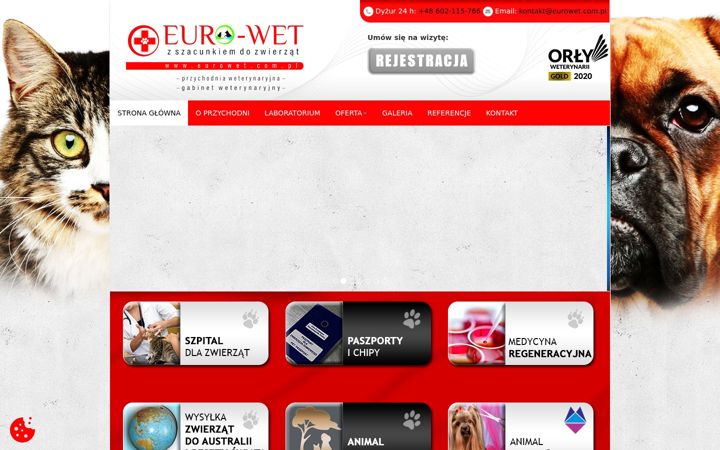 Screenshot of eurowet.tychy.pl
