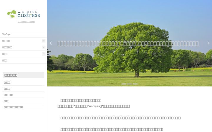 Screenshot of eustress.jp