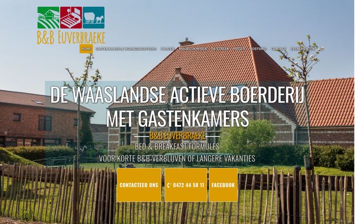 Zrzut ekranu euverbraeke.be