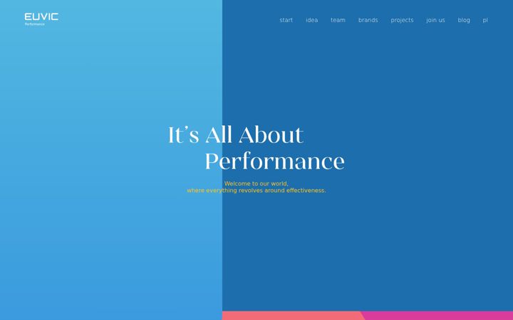 Screenshot of euvicperformance.com