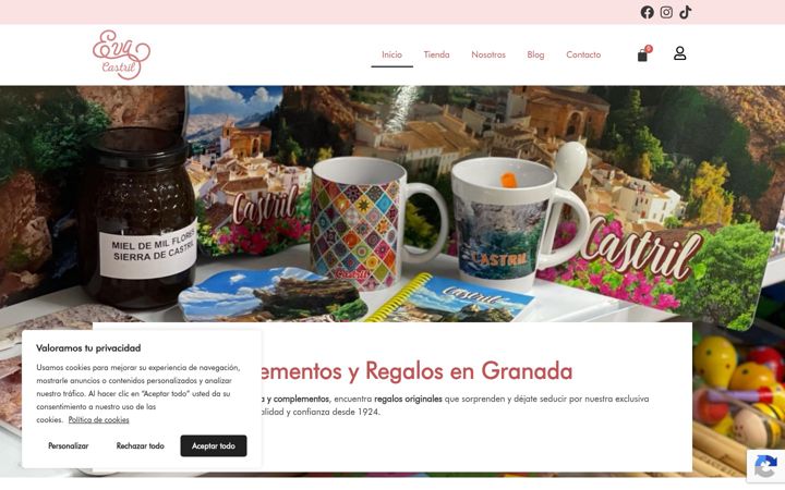 Screenshot of evacastril.com