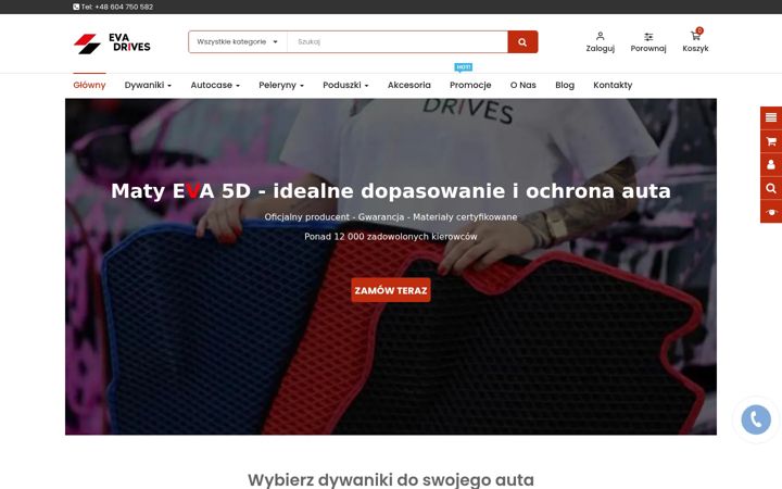 Screenshot of evadrives.pl