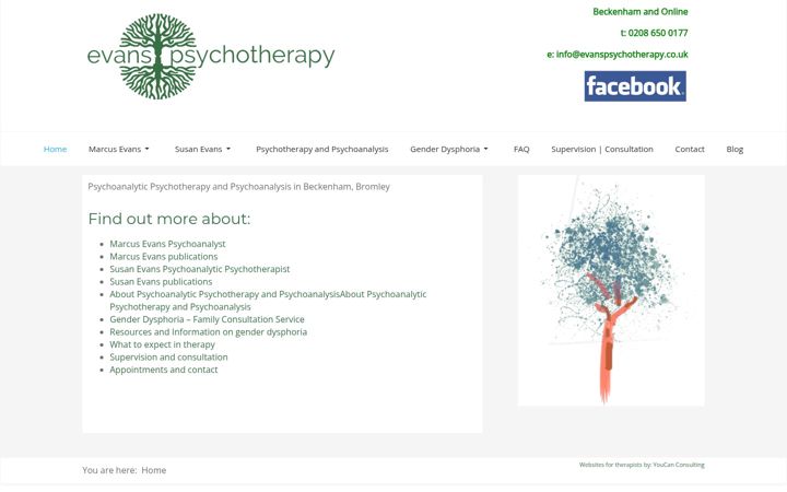 Screenshot of evanspsychotherapy.co.uk