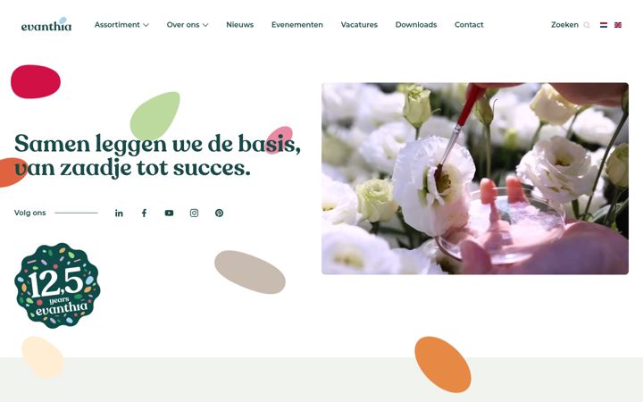 Skærmbillede af evanthia.nl