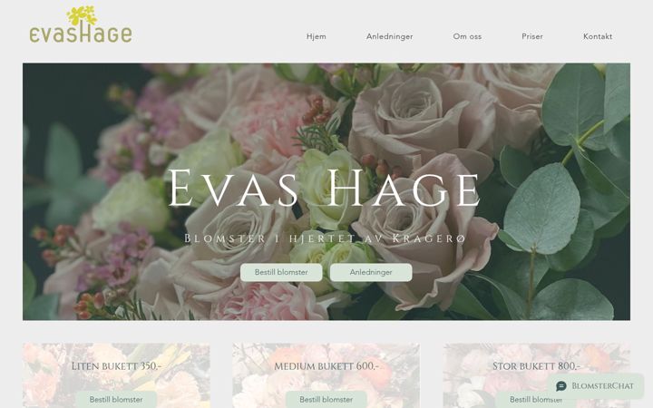 Screenshot of evashage.no