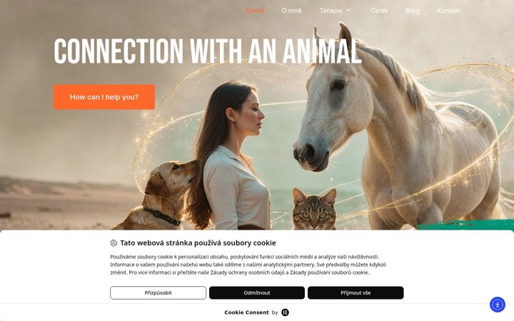 Screenshot of evasoultherapy.com