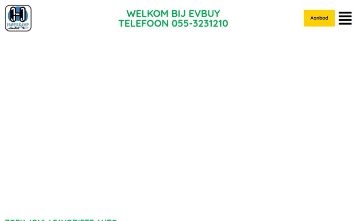 Skærmbillede af evbuy.nl