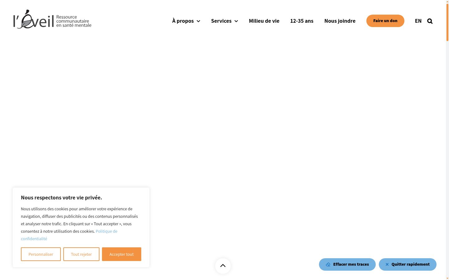 Screenshot of the consent banner shown before any interaction