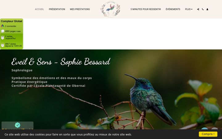 Screenshot of eveiletsens-sb.com